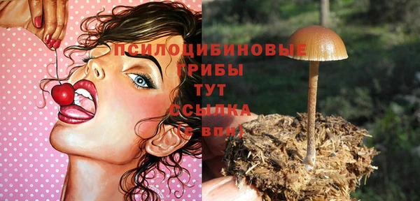 экстази Абаза